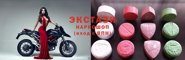 стаф Аркадак