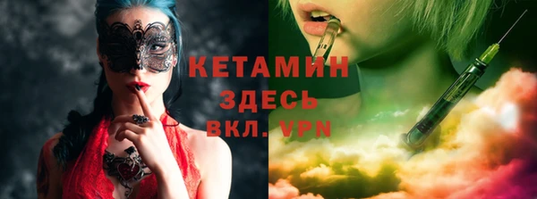 стаф Аркадак