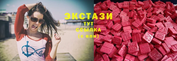 стаф Аркадак
